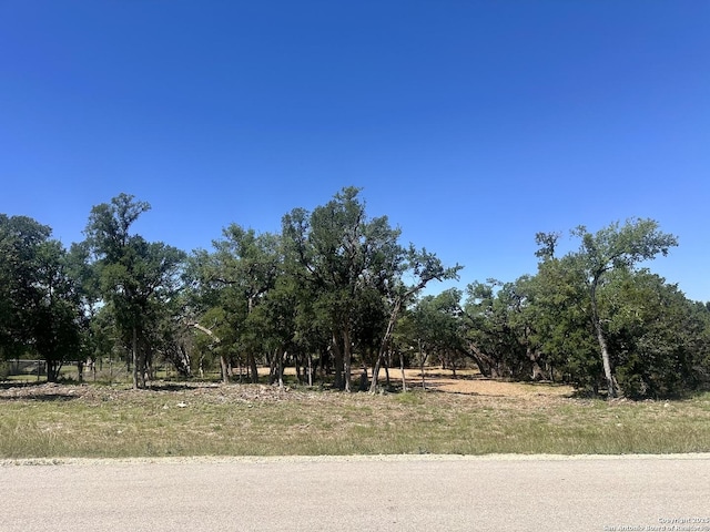 288 Scenic Cyn, New Braunfels, TX 78132
