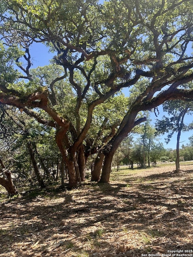 288 Scenic Cyn, New Braunfels, TX 78132