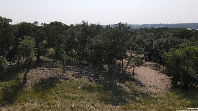 288 Scenic Cyn, New Braunfels, TX 78132