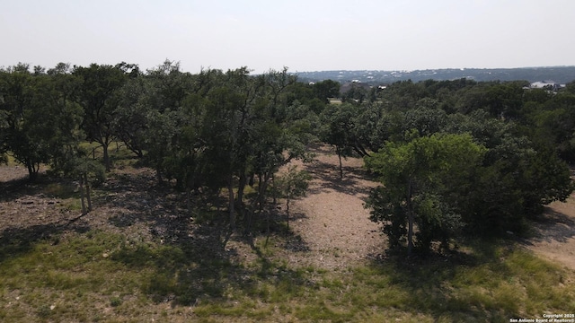 288 Scenic Cyn, New Braunfels, TX 78132