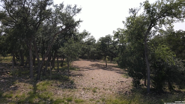 288 Scenic Cyn, New Braunfels, TX 78132
