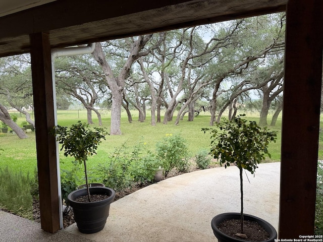 2444 Purgatory, New Braunfels, TX 78132 - view of patio