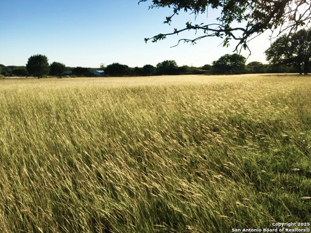 2444 Purgatory, New Braunfels, TX 78132 - view of nature with rural landscape