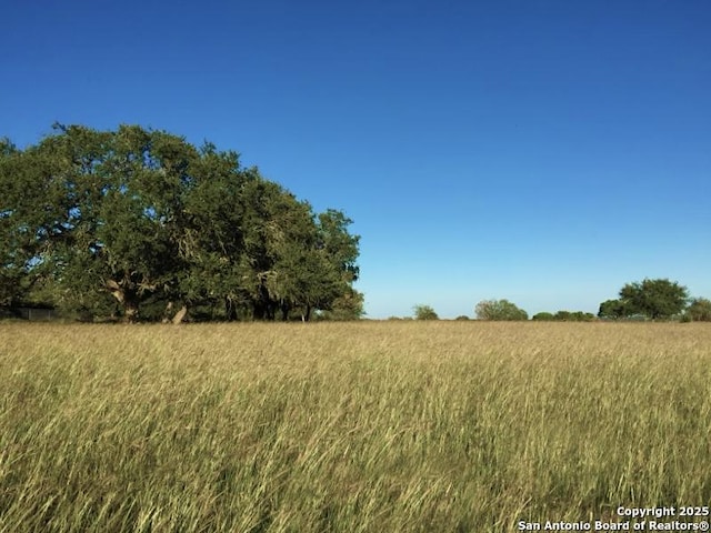 2444 Purgatory, New Braunfels, TX 78132 - view of local wilderness with rural landscape