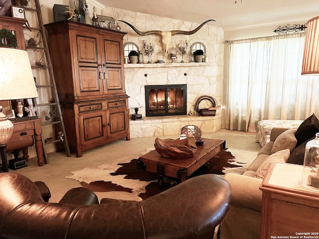 2444 Purgatory, New Braunfels, TX 78132 - living room featuring ornamental molding, light colored carpet, and a fireplace