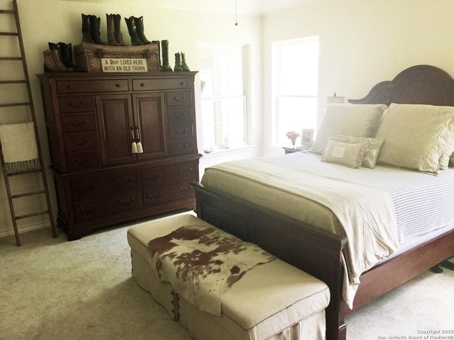 2444 Purgatory, New Braunfels, TX 78132 - bedroom with light colored carpet