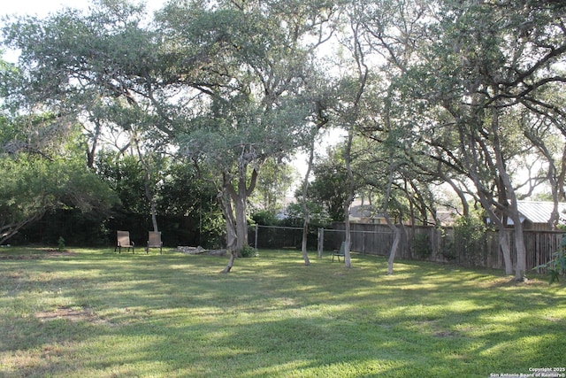 355 Donella, Hollywood Park, TX 78232 - view of yard