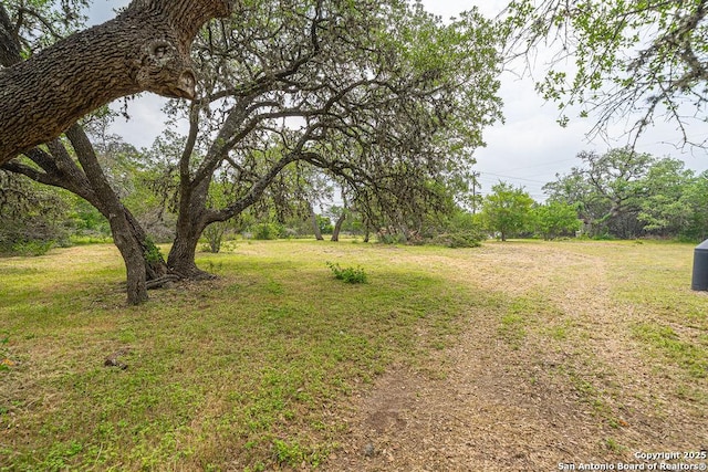 1 Carolyn Ln, Boerne, TX 78006 - view of grassy yard