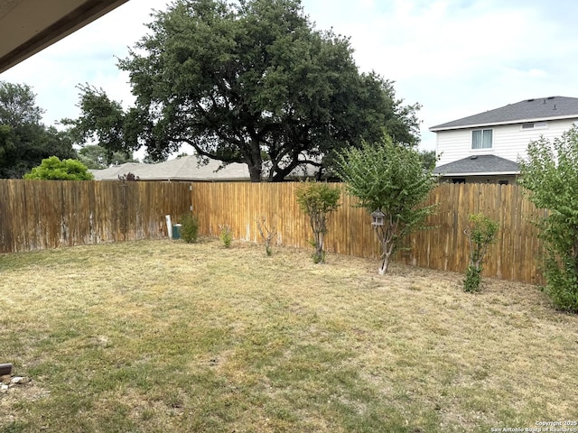 8002 Wever Xing, San Antonio, TX 78250 - view of yard