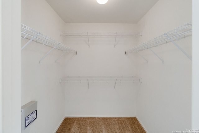 8002 Wever Xing, San Antonio, TX 78250 - spacious closet featuring carpet