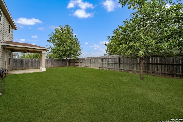 8022 Blackhawk Pass, San Antonio, TX 78253 - view of yard with a patio area and ceiling fan