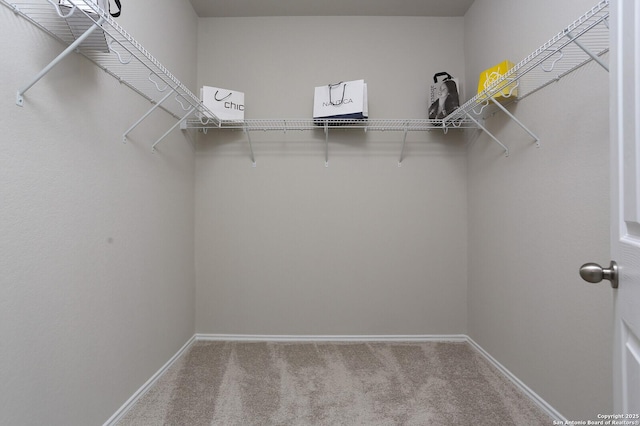 14647 Stirrup Trce, Elmendorf, TX 78112 - spacious closet with carpet