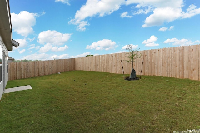 14647 Stirrup Trce, Elmendorf, TX 78112 - view of yard