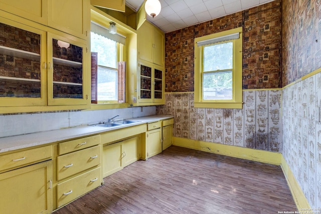 227 College, Seguin, TX 78155 - kitchen featuring a sink, plenty of natural light, light countertops, wallpapered walls, and wood finished floors