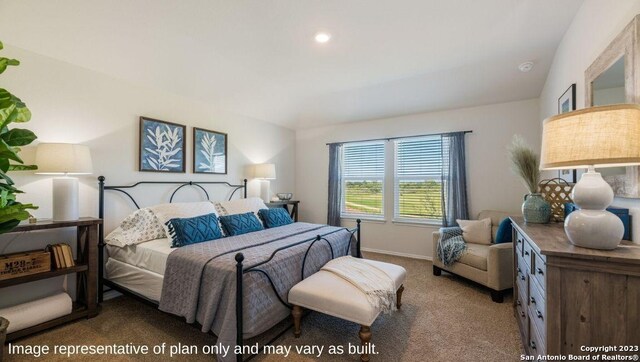 1439 Chianti Pass, New Braunfels, TX 78130 - bedroom with carpet floors
