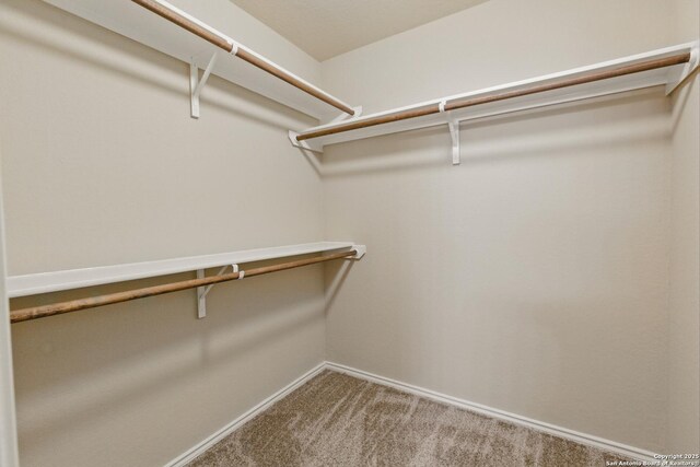 15206 Field Sparrow, San Antonio, TX 78253 - walk in closet with carpet flooring