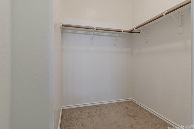 2733 Barkey Spg, San Antonio, TX 78245 - walk in closet with carpet floors