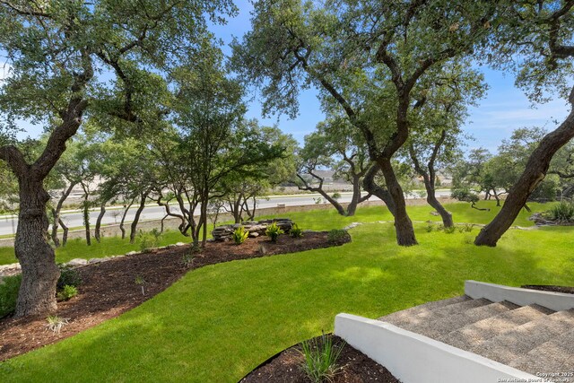 113 Carino Cv, Boerne, TX 78006 - view of grassy yard