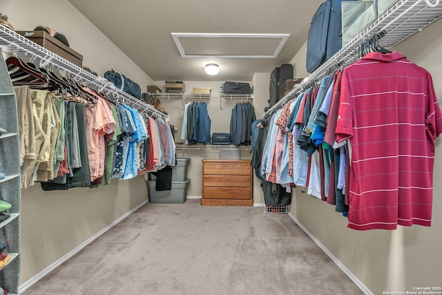 7715 Beechnut Oak, San Antonio, TX 78223 - spacious closet with attic access and carpet