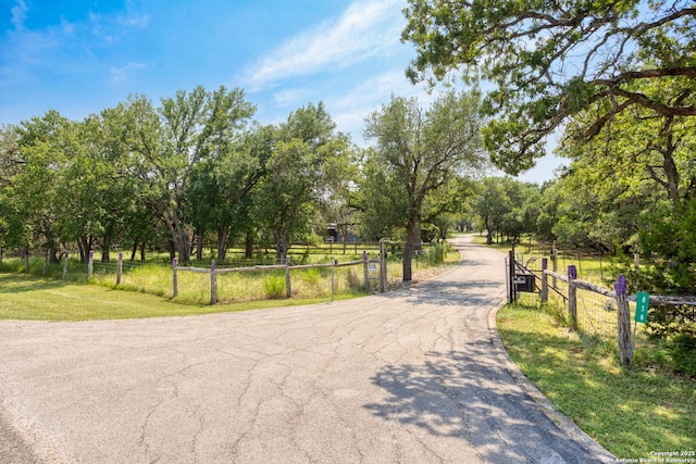 838 Georg Oaks, Bulverde, TX 78163 - view of asphalt road