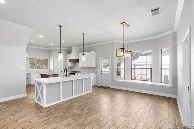 838 Georg Oaks, Bulverde, TX 78163 - kitchen with light countertops, light wood-style flooring, custom exhaust hood, white cabinets, and backsplash