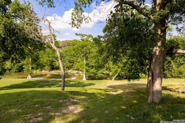 1434 Whispering Water, Spring Branch, TX 78070 - view of grassy yard