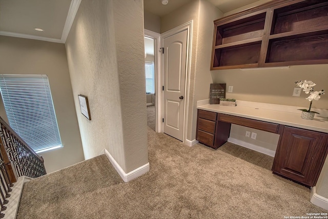 3811 Mira Mesa, San Antonio, TX 78259 - unfurnished office featuring built in study area, light carpet, ornamental molding, a textured wall, and baseboards
