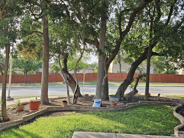 3524 Angora Trl, Schertz, TX 78154 - view of yard