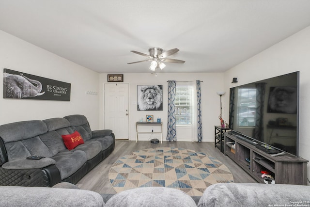6631 Rosenthal Pass, San Antonio, TX 78252 - living area with wood finished floors and ceiling fan