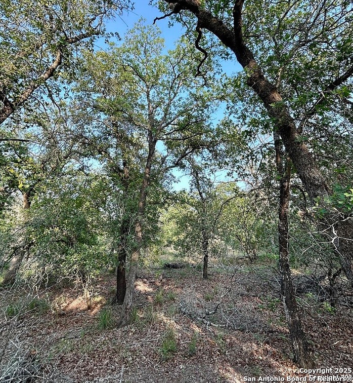 2120 Maldonado Ln, Vernia, TX 78121