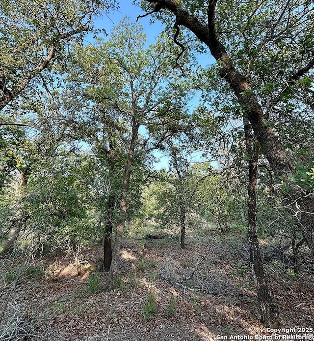 2120 Maldonado Ln, Vernia, TX 78121