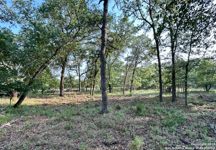 2120 Maldonado Ln, Vernia, TX 78121