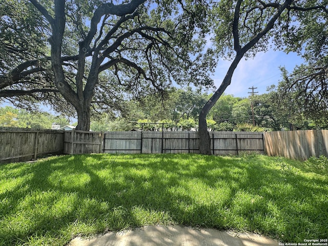 106 Serenity, Boerne, TX 78006 - view of yard
