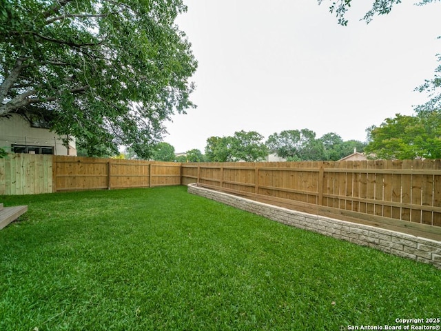 16402 Blanco Ky, San Antonio, TX 78247 - view of yard