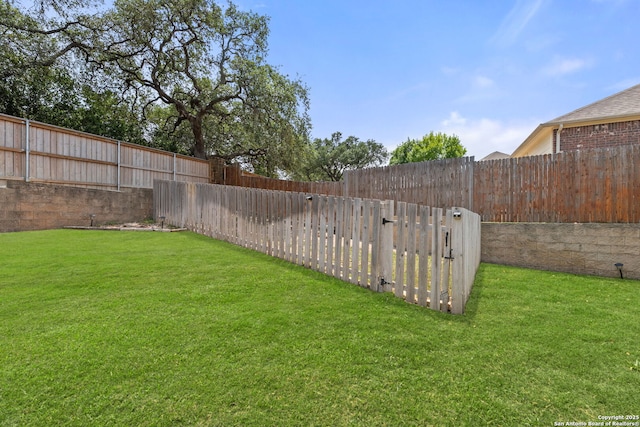 12234 Prince Solms, San Antonio, TX 78253 - view of yard