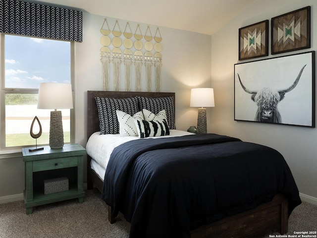 29520 Ringo Way, San Antonio, TX 78260 - carpeted bedroom featuring vaulted ceiling and baseboards