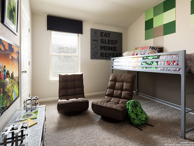 29520 Ringo Way, San Antonio, TX 78260 - bedroom with lofted ceiling, carpet flooring, and baseboards