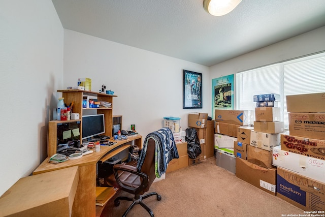 5362 Chestnut Vw, San Antonio, TX 78247 - view of carpeted home office
