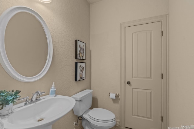 1238 Via Belcanto, San Antonio, TX 78260 - bathroom featuring a sink, toilet, and a textured wall