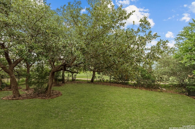 1238 Via Belcanto, San Antonio, TX 78260 - view of yard