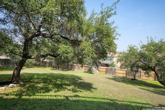 17906 Via Del Arbol, San Antonio, TX 78257 - view of yard