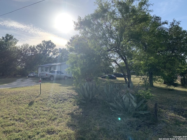 251 Karrass Rd, Kingsbury, TX 78638 - view of yard