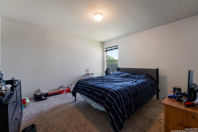 4310 Gambels Quail, Converse, TX 78109 - view of carpeted bedroom