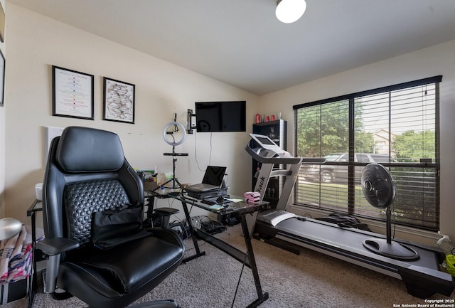 4310 Gambels Quail, Converse, TX 78109 - workout area featuring lofted ceiling and carpet flooring