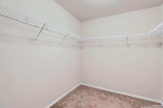 10110 Raspberry Oak, San Antonio, TX 78223 - walk in closet featuring carpet