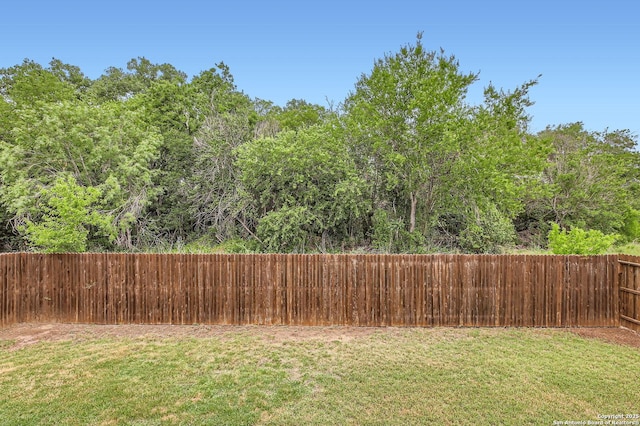 10110 Raspberry Oak, San Antonio, TX 78223 - view of yard