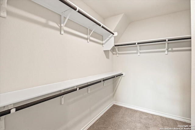 9702 Tupelo Holw, San Antonio, TX 78254 - spacious closet featuring carpet flooring