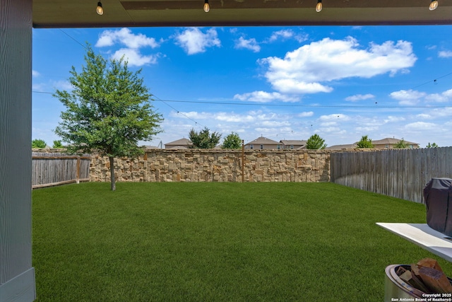 9102 War Wagon, San Antonio, TX 78254 - view of yard