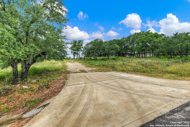 835 Shady Holw, New Braunfels, TX 78132 - view of road