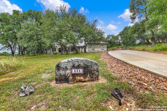835 Shady Holw, New Braunfels, TX 78132 - view of yard